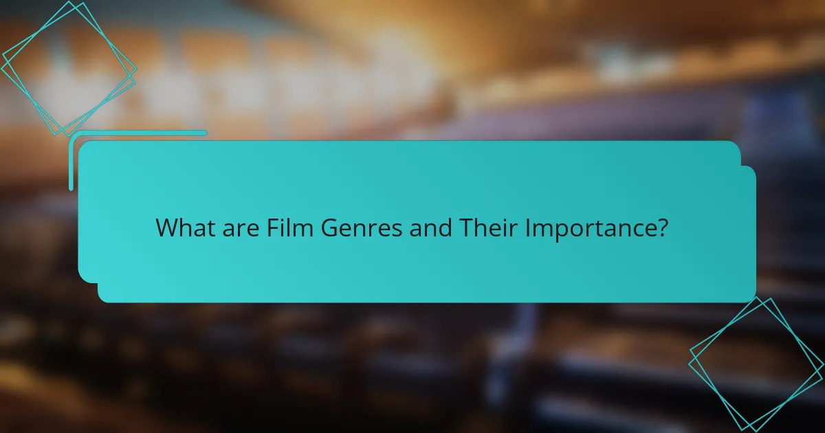 What are Film Genres and Their Importance?