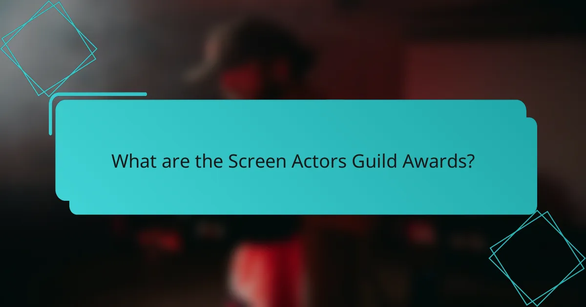 What are the Screen Actors Guild Awards?